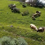 La Casa De Mario * Valsequillo de Gran Canaria