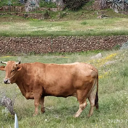 Lägenhet La Casa De Mario Valsequillo de Gran Canaria