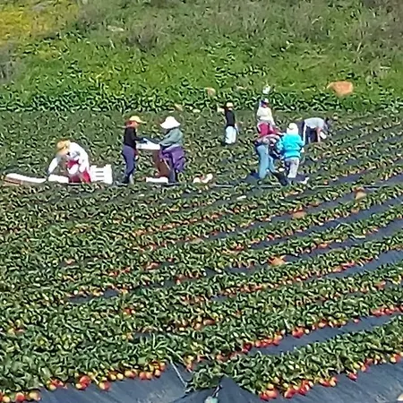 La Casa De Mario Lägenhet *