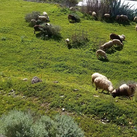 La Casa De Mario * Valsequillo de Gran Canaria