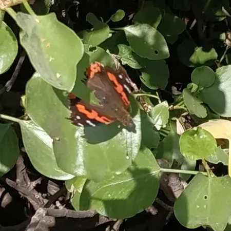 La Casa De Mario Valsequillo de Gran Canaria