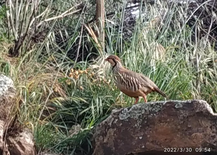 Apartment La Casa De Mario