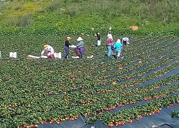 La Casa De Mario Apartment *