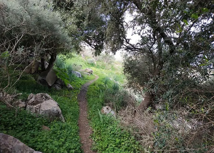 Apartment La Casa De Mario