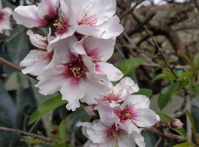 La Casa De Mario Valsequillo de Gran Canaria