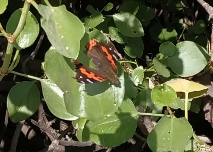 La Casa De Mario Valsequillo de Gran Canaria