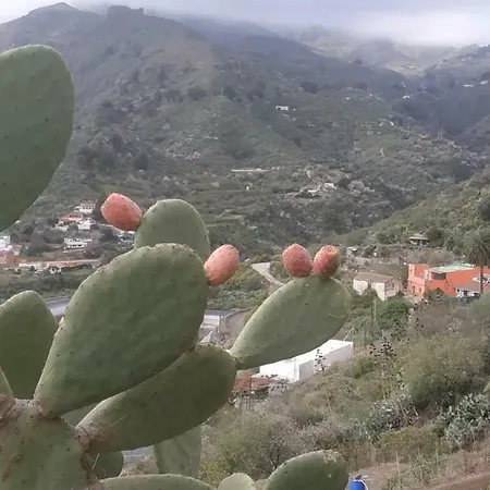 La Casa De Mario Lejlighed Valsequillo de Gran Canaria